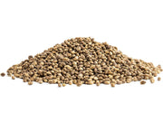Premium Hulled Hemp Seeds 500g